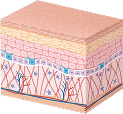 CaviArgan-Cream-Prod-After